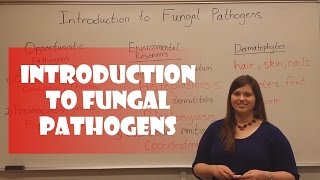 Introduction to Fungal Pathogens [upl. by Aistek552]