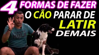 COMO FAZER O CÃO PARAR DE LATIR  4 MANEIRAS [upl. by Recha151]