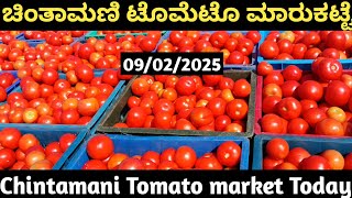 km chintamni tomato 720p 30f 20250209 102056 [upl. by Naujal]