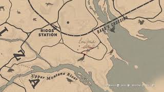 Red Dead Redemption 2  BEST location to find the Opossum  Possum [upl. by Valry174]