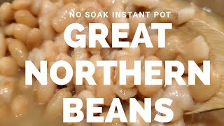 Instant Pot Great Northern Beans EASY NO SOAK VERSION Recipe [upl. by Noy]