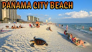 Panama City Beach Florida [upl. by Lyndy]