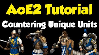 Beginners guide to countering every Unique Unit AoE2 [upl. by Akirderf374]