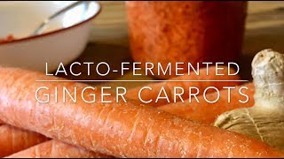 Make Fermented Ginger Carrots  A Sweet Super Probiotic Food [upl. by Brandice]