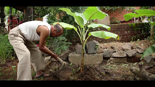 EcoFriendly House of Mr Rahul Deshpande  Amazing Architecture  EcoFriendly  Full HD [upl. by Inwat]