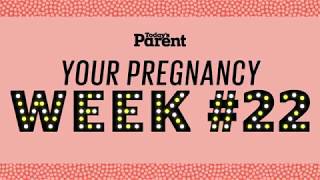 Your pregnancy 22 weeks [upl. by Verner]