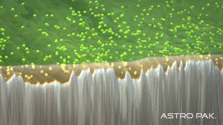 Astro Pak  Microscopic View of Electropolishing  Narrated [upl. by Yong]