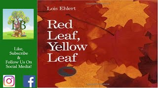 🍁 Red Leaf Yellow Leaf  Read Aloud [upl. by Aerdnaek]