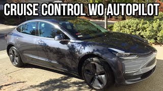 Tesla Model 3 How To Set Cruise Control [upl. by Aneras]