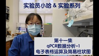 Visual Protocol 11  qPCR data analysis Part 1 Excel  实验员小哈amp实验系列 第十一集 [upl. by Adhern]