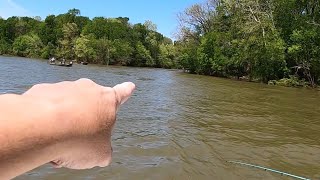 Where to Catch 100 Stripers a Day BUT BE CAREFUL [upl. by Sloatman]