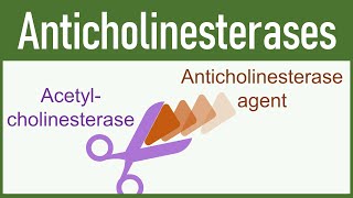 Anticholinesterase Agents Organophosphates amp Carbamates [upl. by Azile]