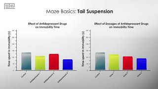 Tail Suspension Test [upl. by Araeic]