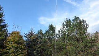 A 50 Foot Tall HF Vertical Antenna [upl. by Fredelia271]