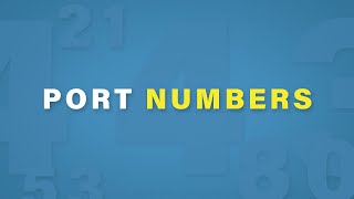 Port Numbers Explained  Cisco CCNA 200301 [upl. by Kipp]