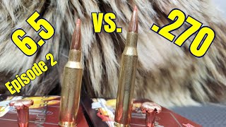 65 Creedmoor vs 270 Winchester Episode 2 Hornady Superformance GMX [upl. by Philipines251]