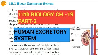 Class 11 BiologyCh19 Part2Human Excretory SystemStudy with Farru [upl. by Carlo]