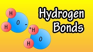 Hydrogen Bonding in Water [upl. by Amahs]