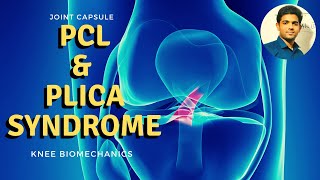 POSTERIOR CRUCIATE LIGAMENT amp Plica syndrome Knee Biomechanics [upl. by Schlosser378]