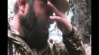 GROWN MAN CRIES IN BEAR STAND [upl. by Dimitry]