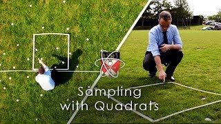 Sampling with Quadrats  GCSE Biology Required Practical [upl. by Nivlag223]