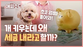 애피소드 세금 내면 유기견 줄어들까…‘반려동물 보유세’ 대안 찾기  KBS뉴스News [upl. by Gayler80]