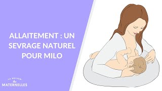 Allaitement  un sevrage naturel pour Milo  La Maison des maternelles LMDM [upl. by Jerrome]