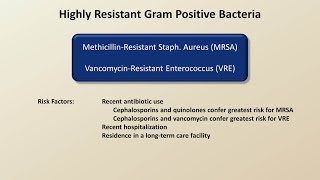 Antibiotics for Gram Positive Infections Antibiotics  Lecture 4 [upl. by Boorer945]