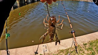 Catfishing On The River Bank Fishing [upl. by Jo Ann196]