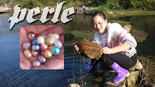 Trésor  des perles en eau douce [upl. by Ahselyt]