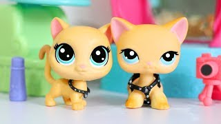 LPS Celebrity Copycat  Short Film [upl. by Lindsey]