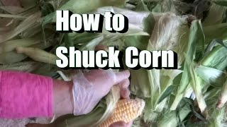 How to Shuck Corn in Two Easy Steps [upl. by Nestor538]