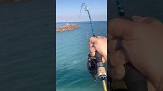 Huge Fish  Nightcliff Jetty Fishing  Darwin NT [upl. by Paradies737]