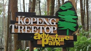 Kopeng Treetop Adventure Park [upl. by Anilocin709]