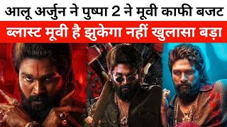 आलू अर्जुन ने पुष्पा 2 ने मूवी काफी बजट  ब्लास्ट मूवी है झुकेगा नहीं खुलासा बड़ा [upl. by Aniraad538]