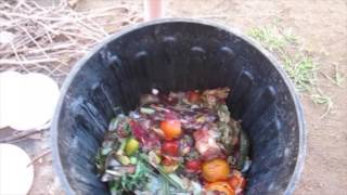 How to start a compost bin [upl. by Bergman]