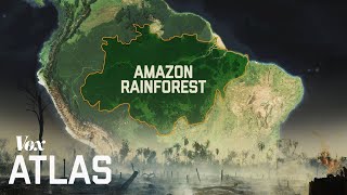 Amazon Jungle Deforestation and Conservation [upl. by Binni]