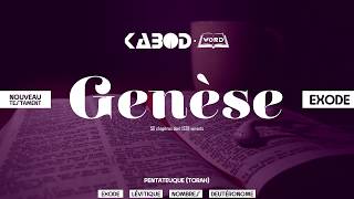 « Genèse »  LAncien Testament  La Sainte Bible audio VF Complète [upl. by Shawna]