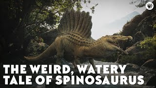 The Weird Watery Tale of Spinosaurus [upl. by Terrijo]