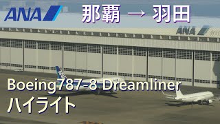 【ハイライト】ANA994那覇空港離陸→羽田空港A滑走路着陸 [upl. by Anod]