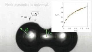 Diffusivelygrowing gas bubble coalescence [upl. by Aletta]