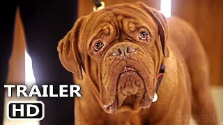 TURNER amp HOOCH Trailer 2021 Disney  Series [upl. by Claudie]