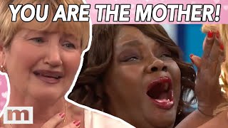 You ARE The Mother Compilation  PART 1  The Maury Show [upl. by Nnayr]