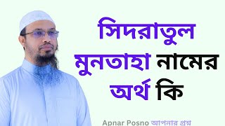 সিদরাতুল মুনতাহা নামের অর্থ কি [upl. by Mohsen]