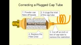 Capillary Tubes in 15 Minutes [upl. by Babita]