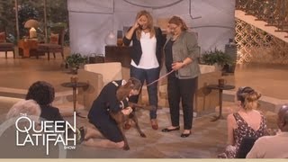 Dogs on Deployment Reunites Soldiers Dog on the Queen Latifah Show [upl. by Julianna861]