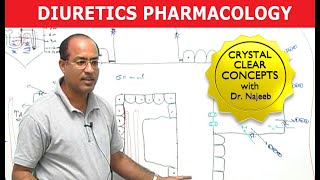 Diuretics  Pharmacology  Dr Najeeb [upl. by Yemorej963]