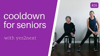 Exercise Cooldown for Seniors Beginners [upl. by Milburt]