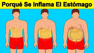 7 Causas De Que Tengas Inflamado El Estómago [upl. by Enait48]