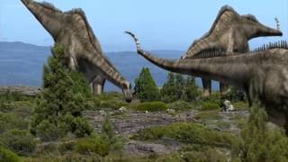 Dinosaur Discoveries Diplodocus [upl. by Nedac]